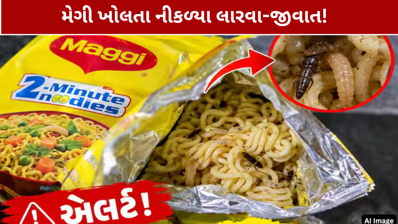Insects in Maggi Packet: મેગીમાંથી લારવા-જીવાત નીકળ્યાનો દાવો