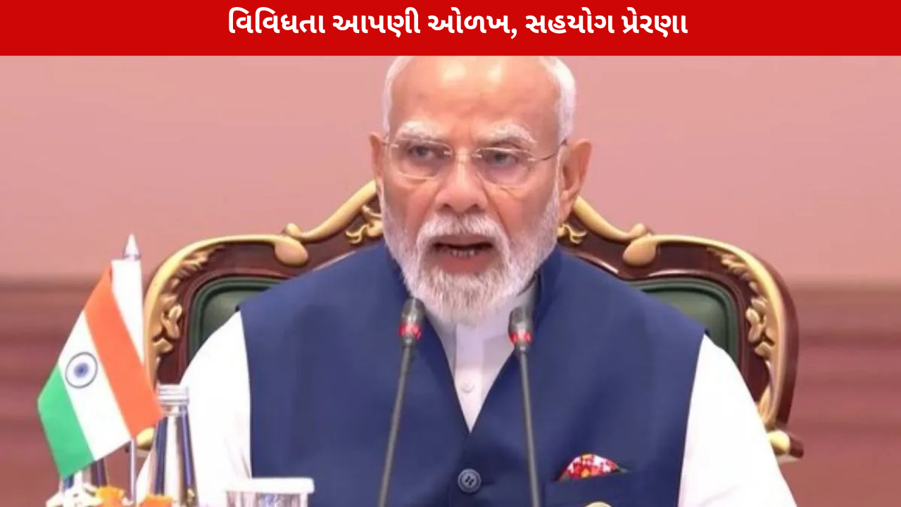 BRICS Summit 2026: PM મોદીએ કહ્યું, વિવિધતા આપણી ઓળખ