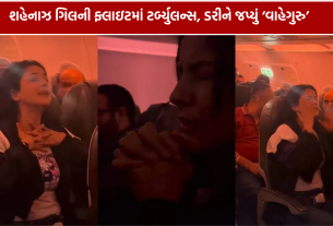 Shehnaaz Gill Flight Turbulence: ફ્લાઇટમાં ડરી શહેનાઝ ગિલ