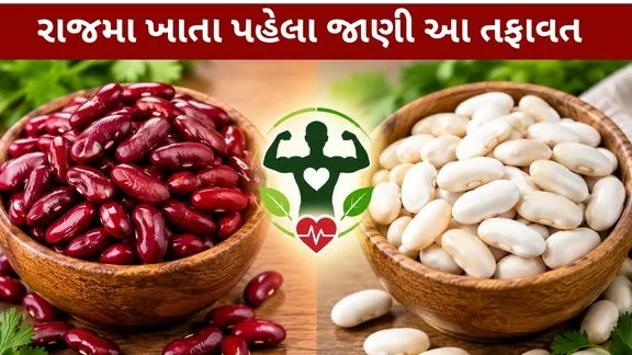 Red vs White Rajma Which Rajma easy digest