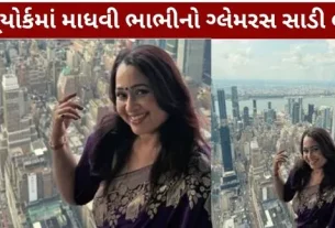 TMKOC 'Taarak Mehta' team in Amerika