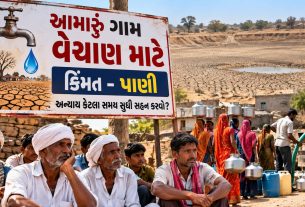 Tulshi Village Water Crisis: પાણીની અછતથી લગ્ન પણ અટક્યા? તુલશી ગામમાં 350 યુવકો અંગે મોટો દાવો