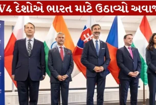 V4 countries Raised a voice for India