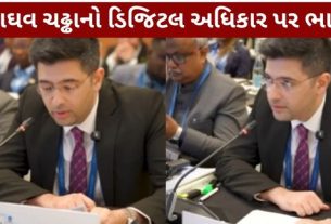 Raghav Chadha IPU Conference: દરેકને સમાન ડિજિટલ અધિકારની હિમાયત