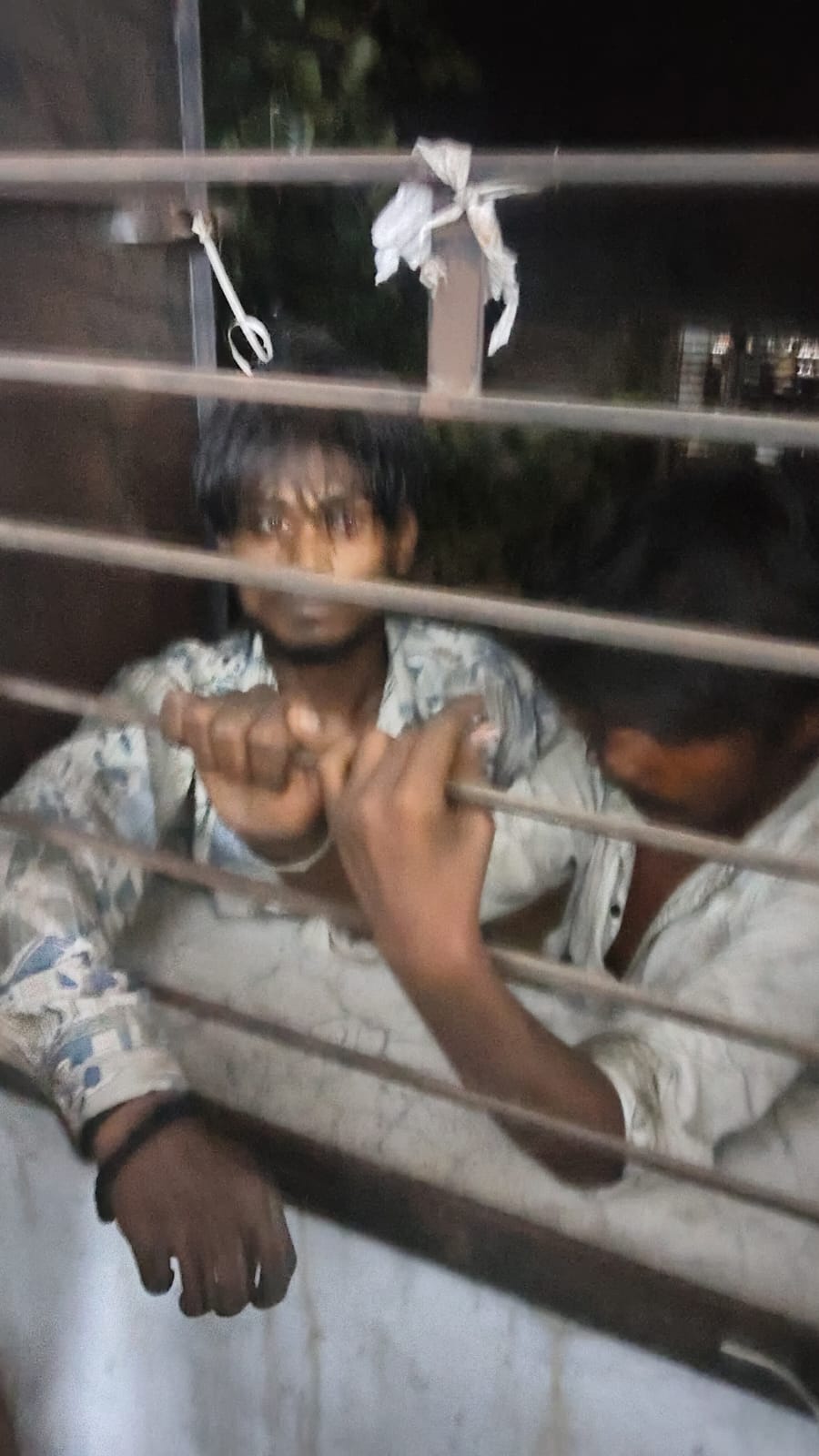 Surat Thieves