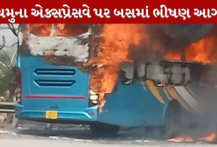 Yamuna Expressway Bus Fire: યમુના એક્સપ્રેસવે પર બસમાં આગ