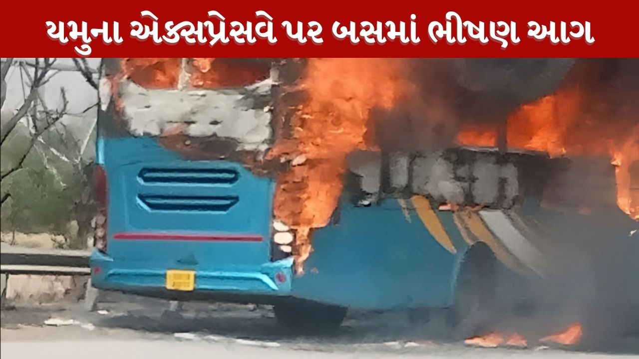 યમુના એક્સપ્રેસવે પર સ્લીપર બસમાં લાગી ભીષણ આગ, 9 મુસાફરોના મોત