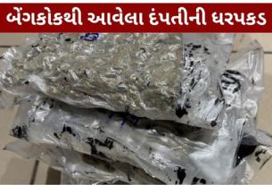 અમદાવાદ એરપોર્ટ (Ahmedabad Airport) પર કસ્ટમ્સ વિભાગે મોટી કાર્યવાહી કરીને બેંગકોકથી આવેલા પતિ-પત્ની પાસેથી 1.928 કિલો હાઇડ્રોપોનિક ગાંજો ઝડપી પાડ્યો છે