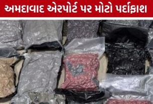 Ahmedabad Airport Drug Seizure: બેંગકોકથી આવેલા મુસાફર પાસેથી 8.913 કિલો ગાંજો જપ્ત, ધરપકડ