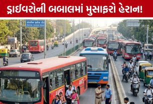 Ahmedabad AMTS BRTS Driver Fight: રોંગ સાઈડ ઓવરટેક મુદ્દે બબાલ, AMTS ડ્રાઈવર બસ મૂકીને જતો રહ્યો
