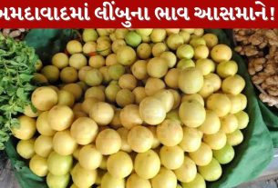 Ahmedabad lemon price