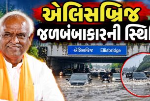 Ahmedabad Rain: વરસાદી પાણીના નિકાલને લઈને અમિત શાહની રજૂઆત, અધિકારીઓ સાથે સ્થળ પર નિરીક્ષણ