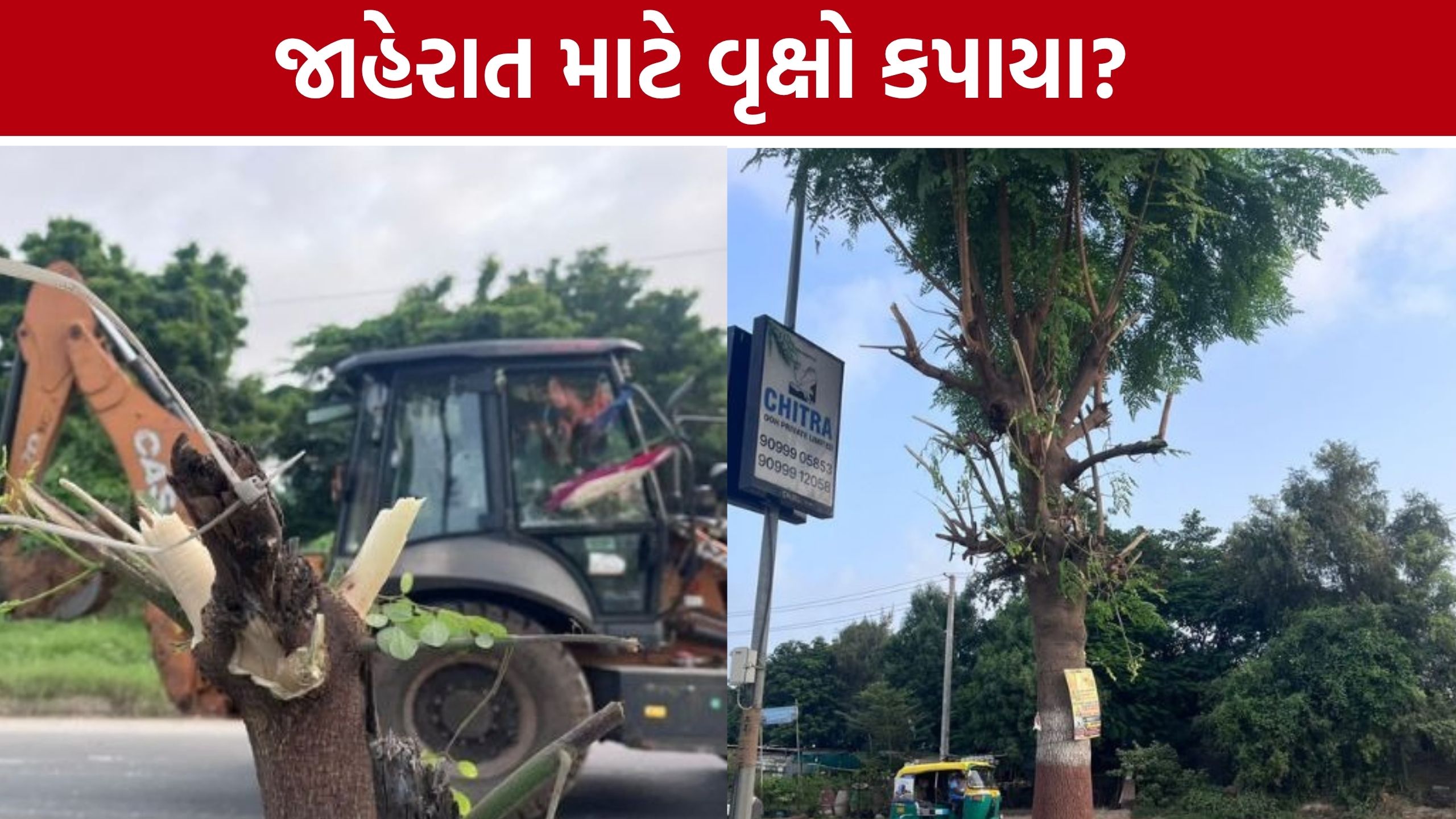 Ahmedabad Tree Trimming: વૃક્ષો કે જાહેરાત બોર્ડ? SG હાઇવે પાસે હેવી ટ્રિમિંગથી પર્યાવરણપ્રેમીઓમાં રોષ