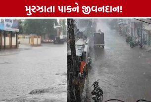 Amreli Rain: વડિયા, બાબરા, લાઠી, લીલીયા પંથકમાં વરસાદ, ધરતીપુત્રોમાં ખુશીનો માહોલ