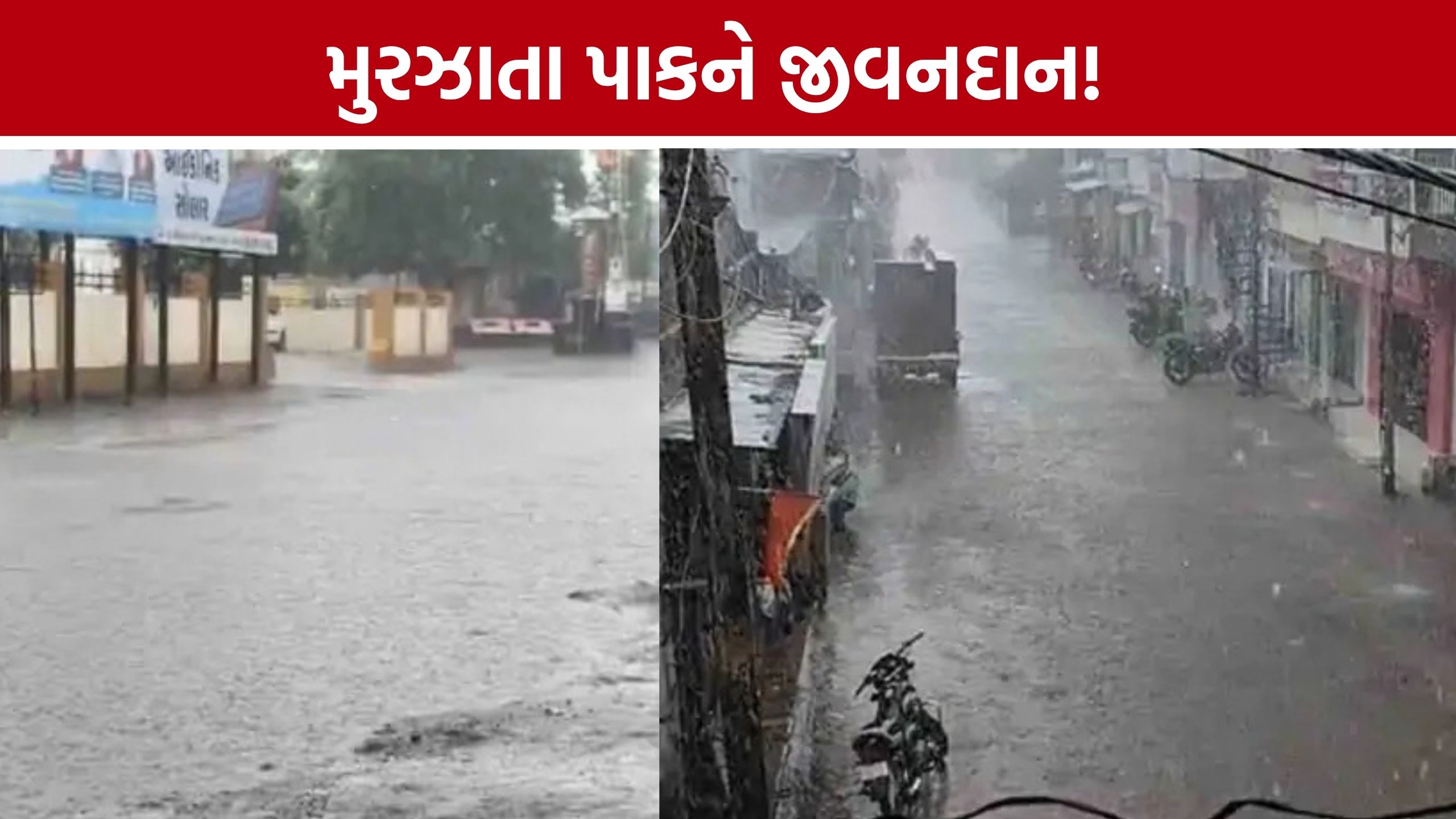 Amreli Rain: વડિયા, બાબરા, લાઠી, લીલીયા પંથકમાં વરસાદ, ધરતીપુત્રોમાં ખુશીનો માહોલ