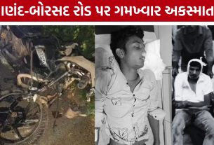 Anand Borsad Road Accident: બે બાઇકની ટક્કરમાં 3 જિંદગી ખતમ, આણંદ-બોરસદ રોડ પર અરેરાટી