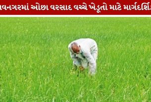 Bhavnagar