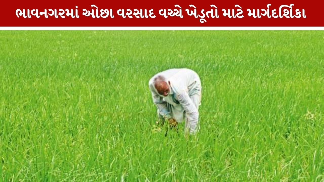 Bhavnagar