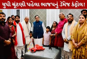 BJP damage control strategy