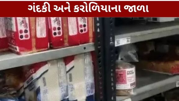 ગાંધીનગરના રાયસણ વિસ્તારમાં આવેલા Blinkit સ્ટોરમાં તપાસ દરમિયાન ગંદકી અને અસ્વચ્છતા મળી આવતાં ફૂડ વિભાગે લાયસન્સ સસ્પેન્ડ (Food License) કરી સ્ટોરનો ધંધો બંધ કરાવ્યો છે