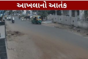 બેરણા રોડ પર રસ્તા પરથી પસાર થઈ રહેલા હરેશભાઈ શર્મા પર અચાનક આખલાએ હુમલો (Bull Attack)કર્યો હતો