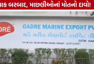 Chorwad Chemical Pollution: મેઘલ નદીમાં માછલી-કાચબા મૃત મળ્યાનો દાવો, ચોરવાડમાં કંપની સામે ખેડૂતોનો રોષ