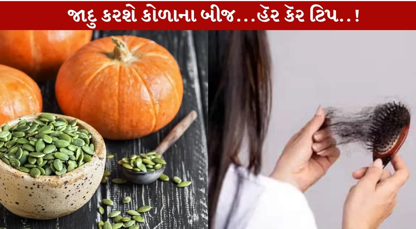 Pumpkin Seeds નું યોગ્ય રીતે સેવન વાળને ખરતા અટકાવશે!