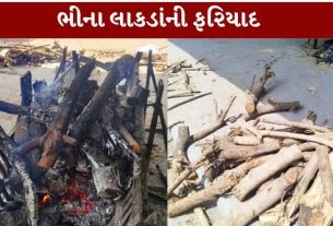 સ્મશાનમાં ભીના લાકડાં (Wet Wood) આપવામાં આવતા હોવાની ફરિયાદો સામે આવી છે