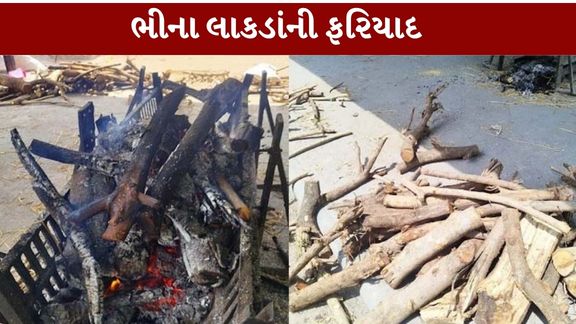 સ્મશાનમાં ભીના લાકડાં (Wet Wood) આપવામાં આવતા હોવાની ફરિયાદો સામે આવી છે