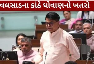 વલસાડ વિધાનસભા મતવિસ્તારના દરિયાકાંઠા અને નદીકાંઠાના ગામોમાં દરિયાઈ ભરતી, ભારે વરસાદ અને પાણીના ધોવાણથી થતું નુકસાન અટકાવવા માટે પ્રોટેક્શન વોલ (Protection Wall) બનાવવાની માંગ ઉઠી છે