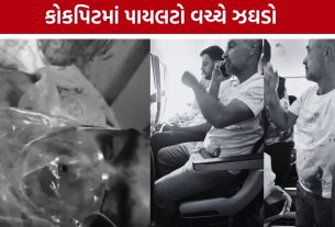 Dubai Tel Aviv Flight: કોકપિટમાં શું થયું? હાઈજેક એલર્ટ બાદ ફ્લાઈટ સાઉદી અરેબિયામાં લેન્ડ