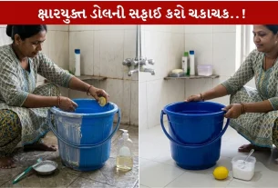 Bucket Cleaning માટે અજમાવો આ 3 Effective ઘરગથ્થુ નુસખા