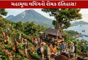 Cloveનું પ્રથમ વૃક્ષ ક્યાં ઊગ્યું હતું? જાણો 3 Amazing અને Fascinating Historical Facts!