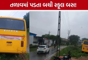 Gandhinagar School Bus Accident: ચાલકની તબિયત લથડતા સ્કૂલ બસ બેકાબૂ, તળાવમાં ખાબકતા અટકી; બાળકોનો બચાવ