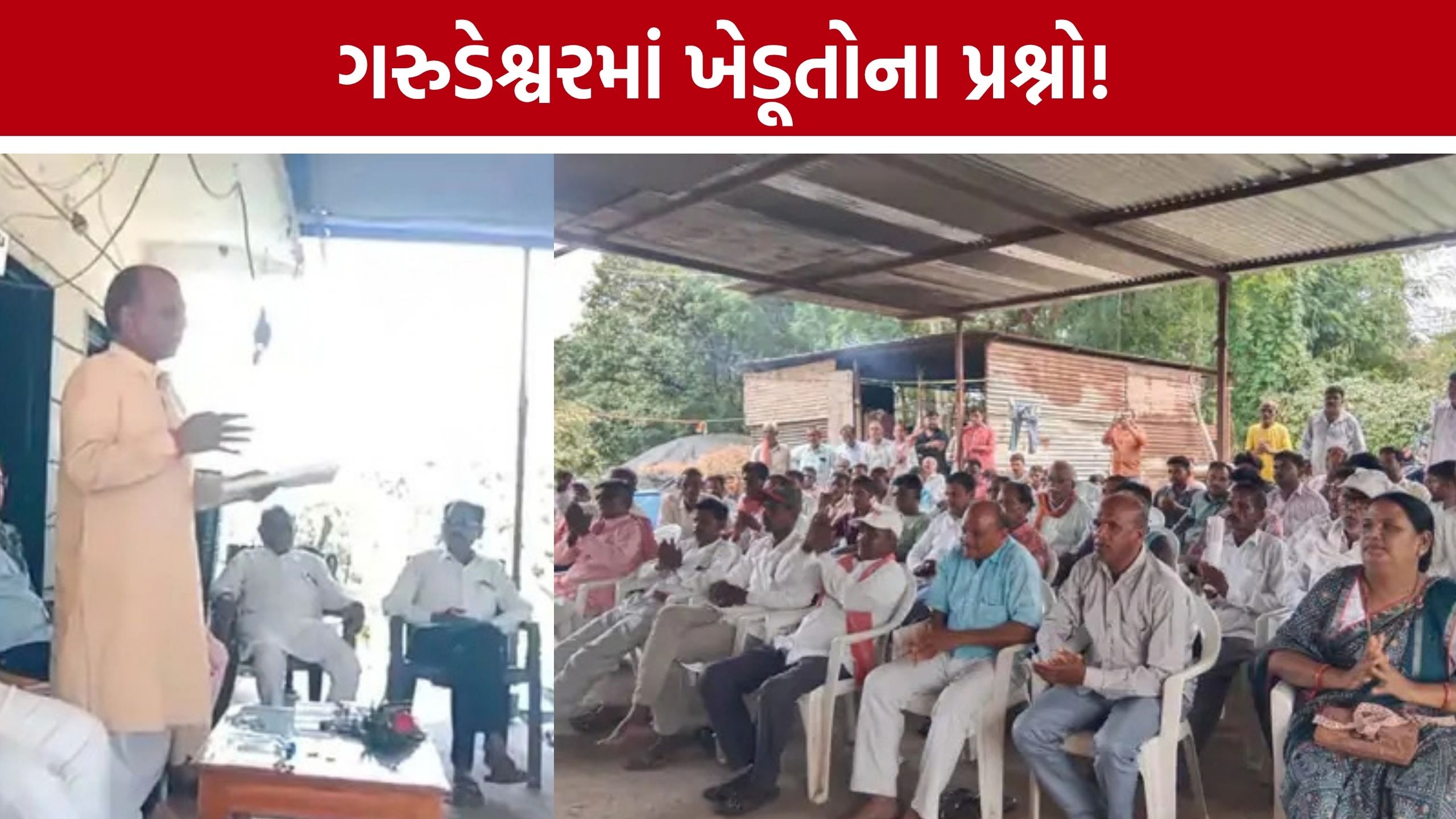 Mansukh Vasavaની અધ્યક્ષતામાં બેઠક, જંગલ જમીનના દાવા ઝડપી ઉકેલવા ચર્ચા