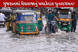 Gujarat