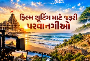 Gujarat Single Window Cinematic Portal: ગુજરાત બનશે ફિલ્મમેકર્સનું નવું ડેસ્ટિનેશન