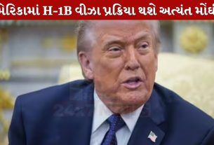 US H-1B Visa
