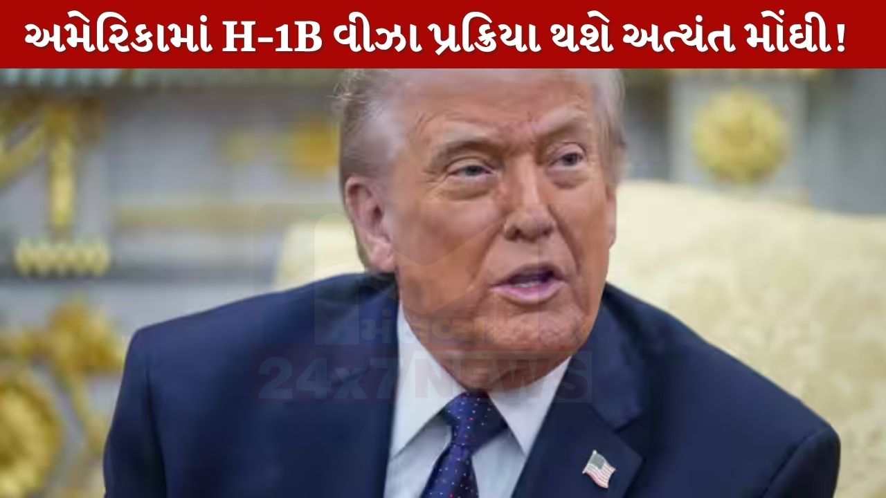 US H-1B Visa