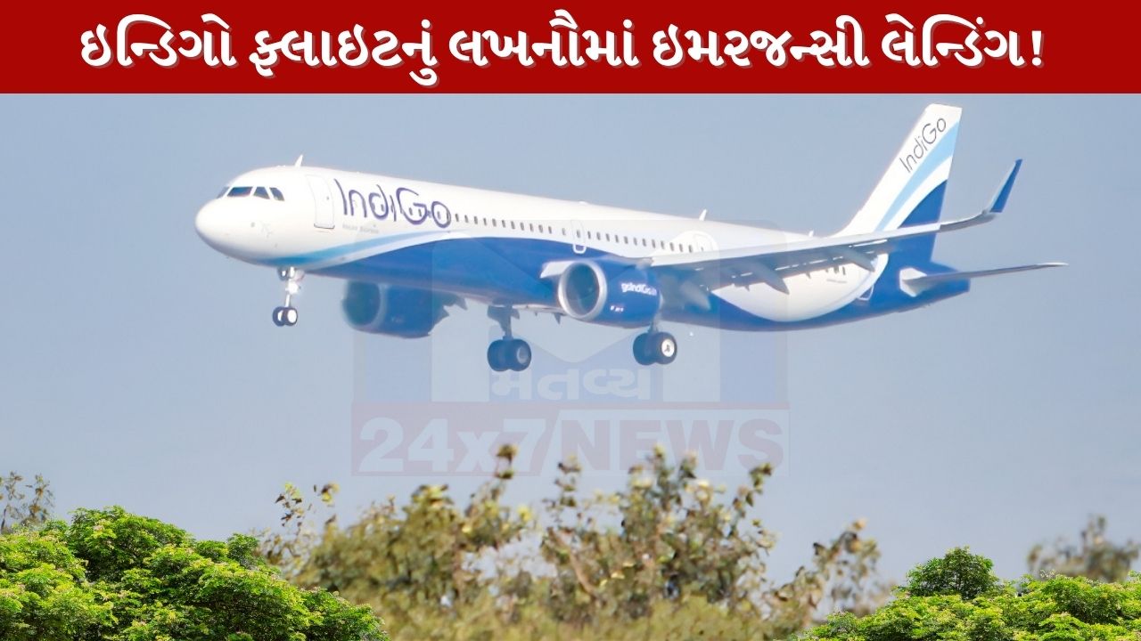 IndiGo flight
