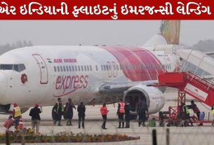 Air India Flight