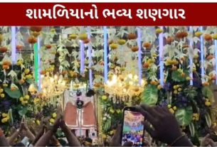 જન્માષ્ટમી (Janmashtami)ના પાવન પર્વને લઈને શામળાજી મંદિરમાં ભગવાન શામળિયાને ભવ્ય અને આકર્ષક શણગાર કરવામાં આવ્યો હતો