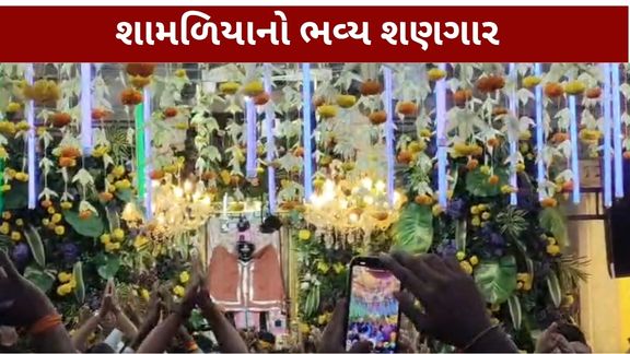જન્માષ્ટમી (Janmashtami)ના પાવન પર્વને લઈને શામળાજી મંદિરમાં ભગવાન શામળિયાને ભવ્ય અને આકર્ષક શણગાર કરવામાં આવ્યો હતો