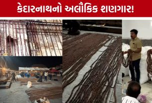 Kedarnath Temple Rudraksha Shringar: 12 લાખ રુદ્રાક્ષથી કેદારનાથ મંદિરનો ભવ્ય શણગાર, વડોદરાના 2100 ભક્તોની મહેનત