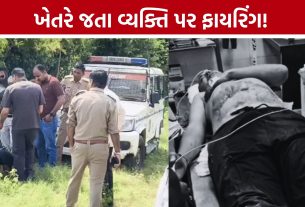Kheralu Firing: મિયાસણ નજીક ખેતરમાં છુપાઈને બેઠેલા શખસનો ફાયરિંગનો આરોપ