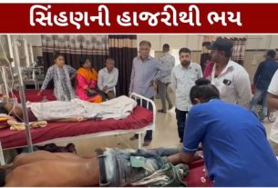 અમરેલી (Amreli)જિલ્લાના નાની કુકાવાવ ગામની સીમમાં સિંહણના અચાનક હુમલા (Lioness Attack)થી ખેત મજૂર ઈજાગ્રસ્ત થતાં સ્થાનિકોમાં ભયનો માહોલ સર્જાયો છે
