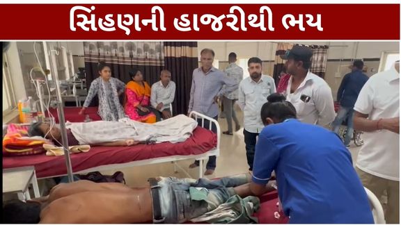 અમરેલી (Amreli)જિલ્લાના નાની કુકાવાવ ગામની સીમમાં સિંહણના અચાનક હુમલા (Lioness Attack)થી ખેત મજૂર ઈજાગ્રસ્ત થતાં સ્થાનિકોમાં ભયનો માહોલ સર્જાયો છે
