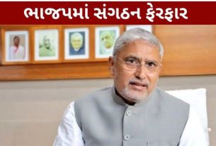 ગુજરાત ભાજપ (Gujarat BJP) દ્વારા સંગઠનને લઈને મહત્વની નવી નિમણૂકો જાહેર કરવામાં આવી છે