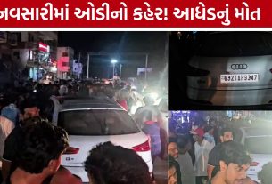 Navsari Eru Road Accident: ઓડીની ટક્કરે આધેડનું મોત, આરોપી શિવાંશ પટેલની ધરપકડ