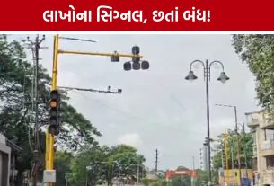 Navsari Traffic Signal: લાખોના ખર્ચે લગાવેલા 5 સિગ્નલ હજુ બંધ, પાલિકા-પોલીસના સંકલનના અભાવે ટ્રાફિક વ્યવસ્થા ખોરવાઈ